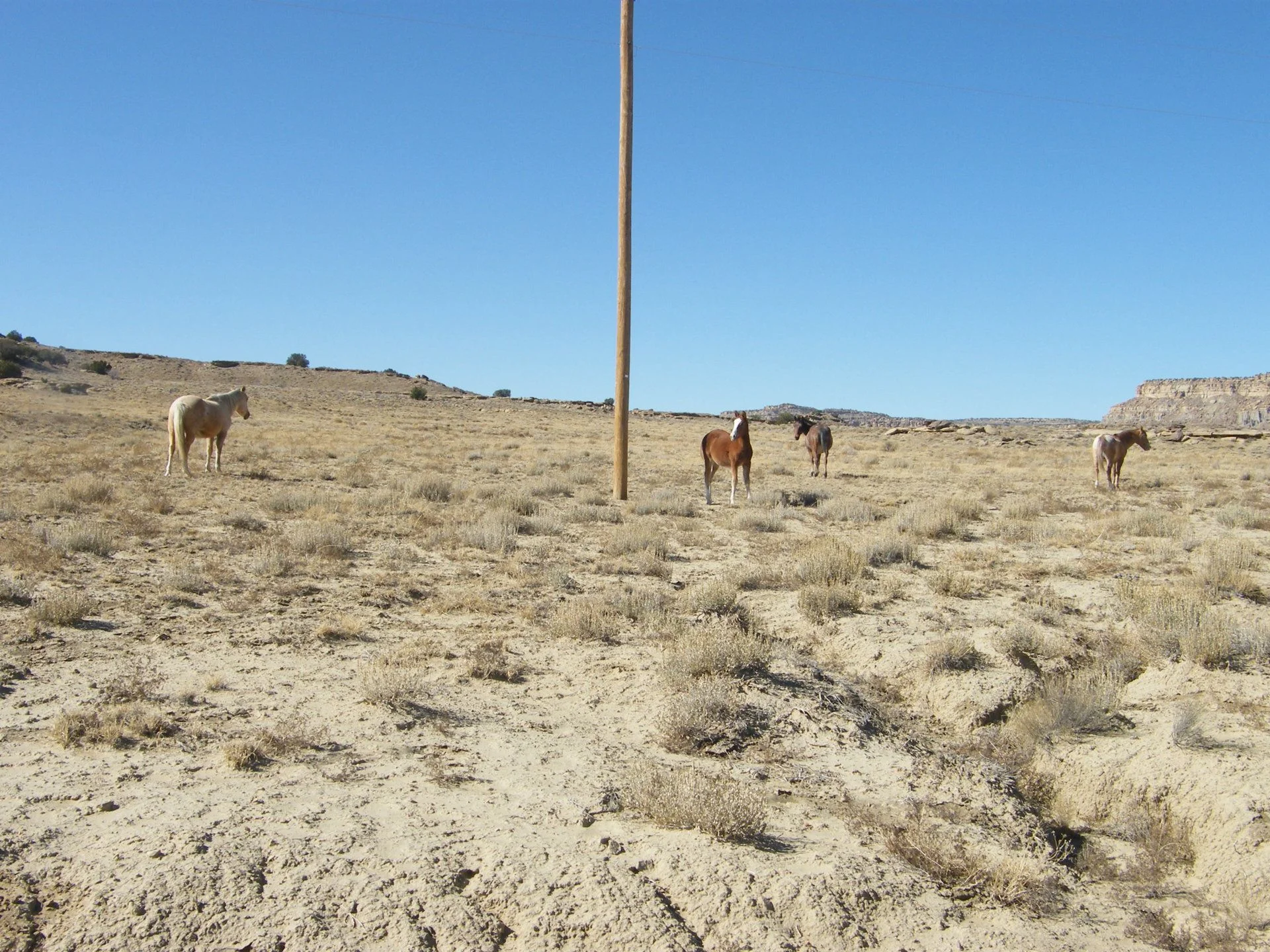 DSCF1964.webp