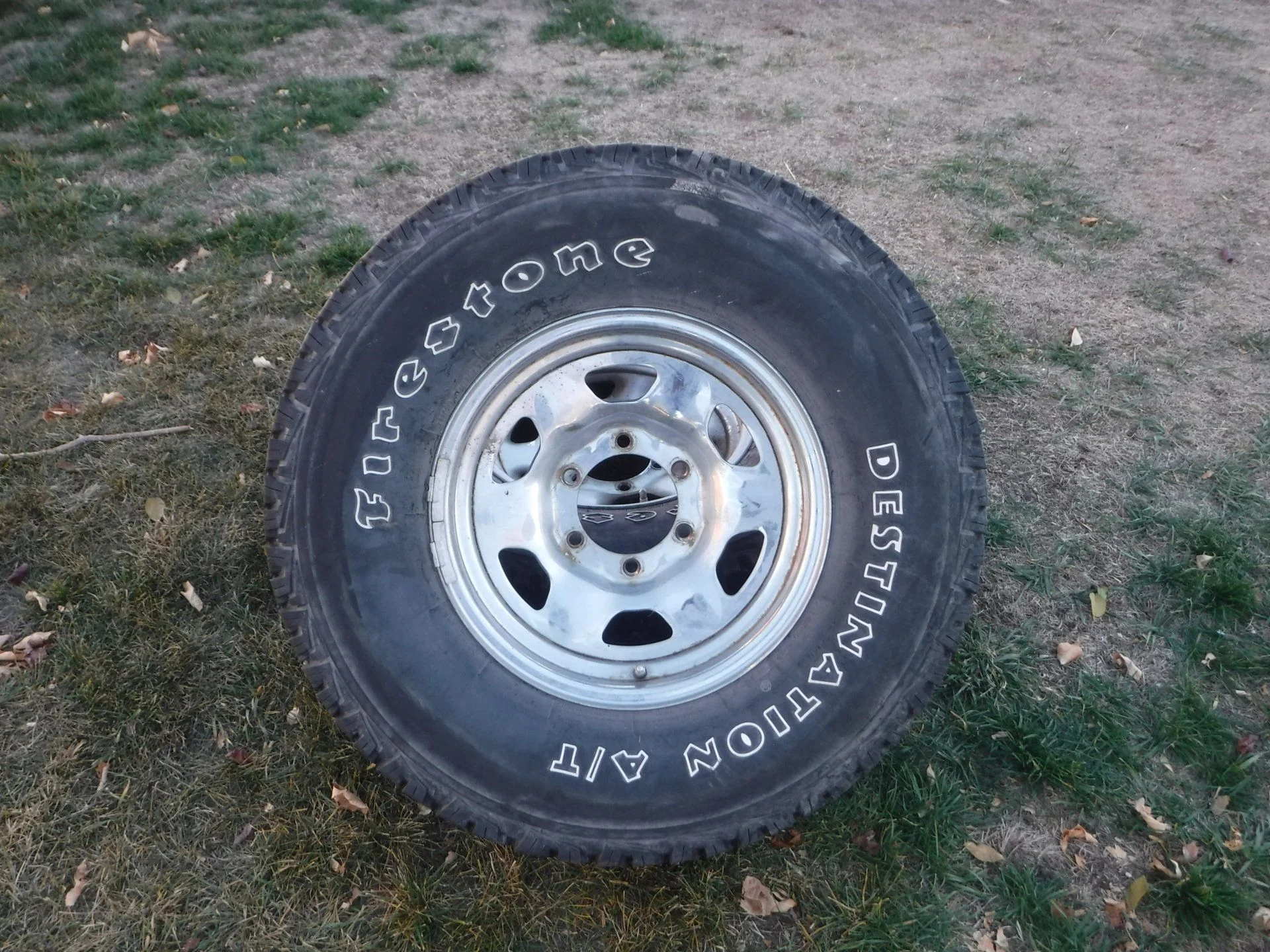 DSCF2379.webp