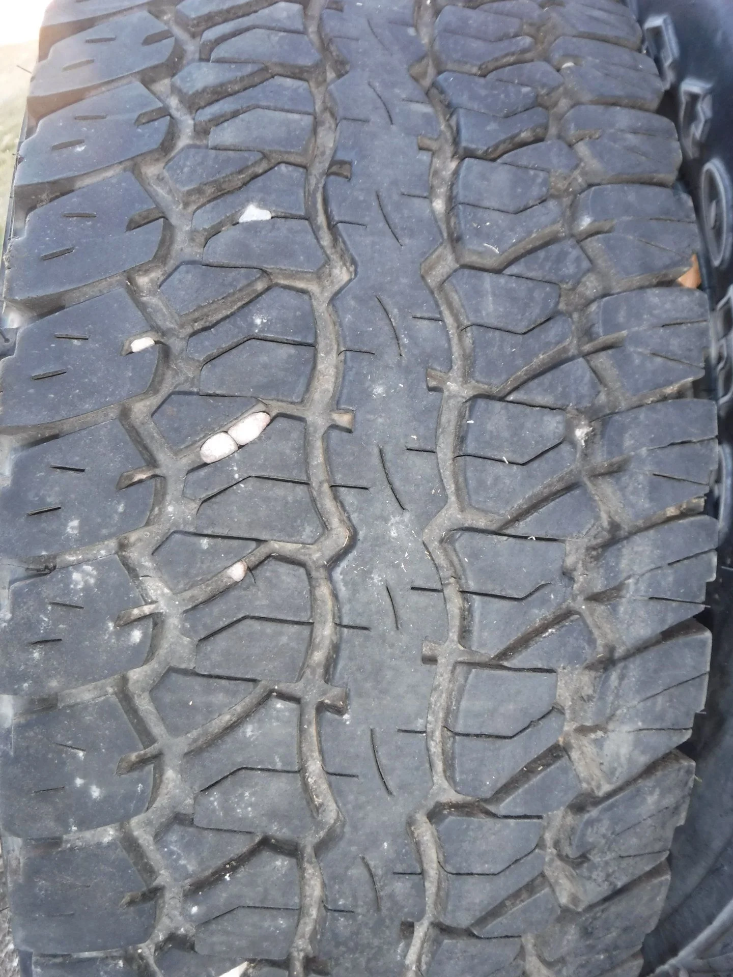 DSCF2390.webp