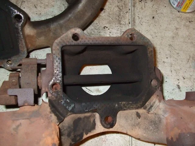DSCF2479.webp