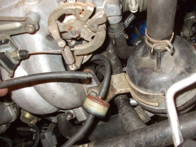 DSCF2671.webp