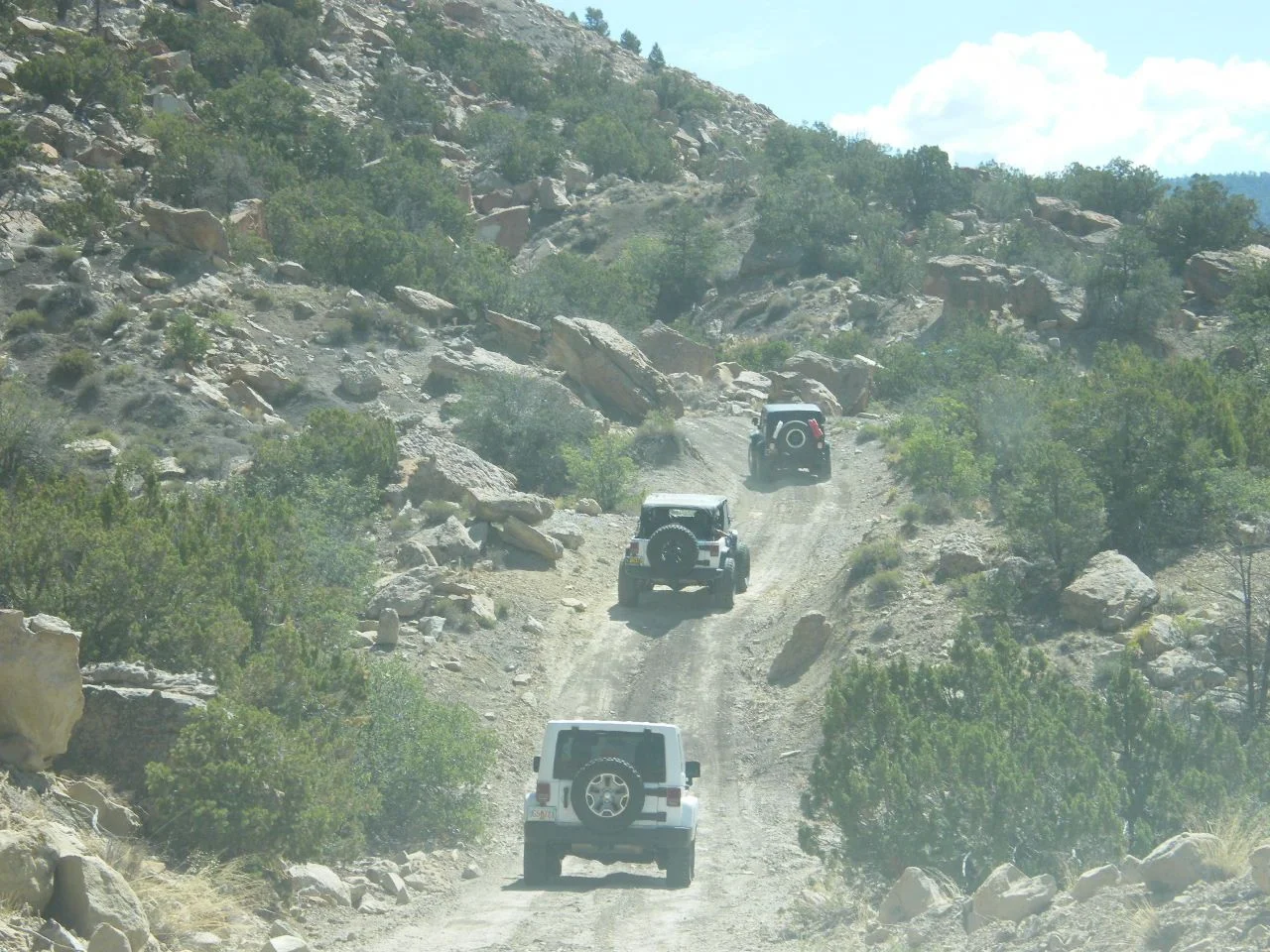 DSCF2773.webp