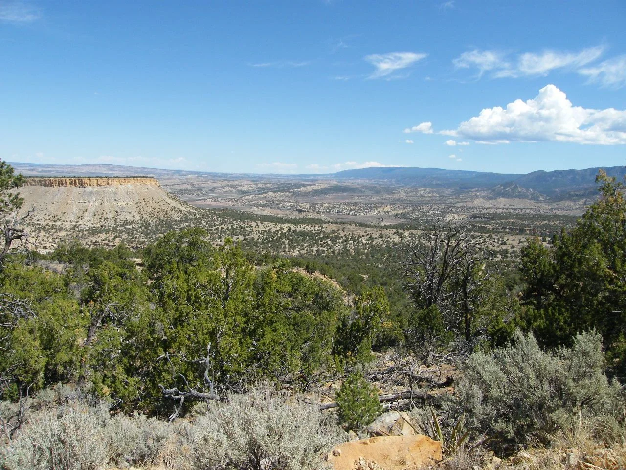 DSCF2775.webp