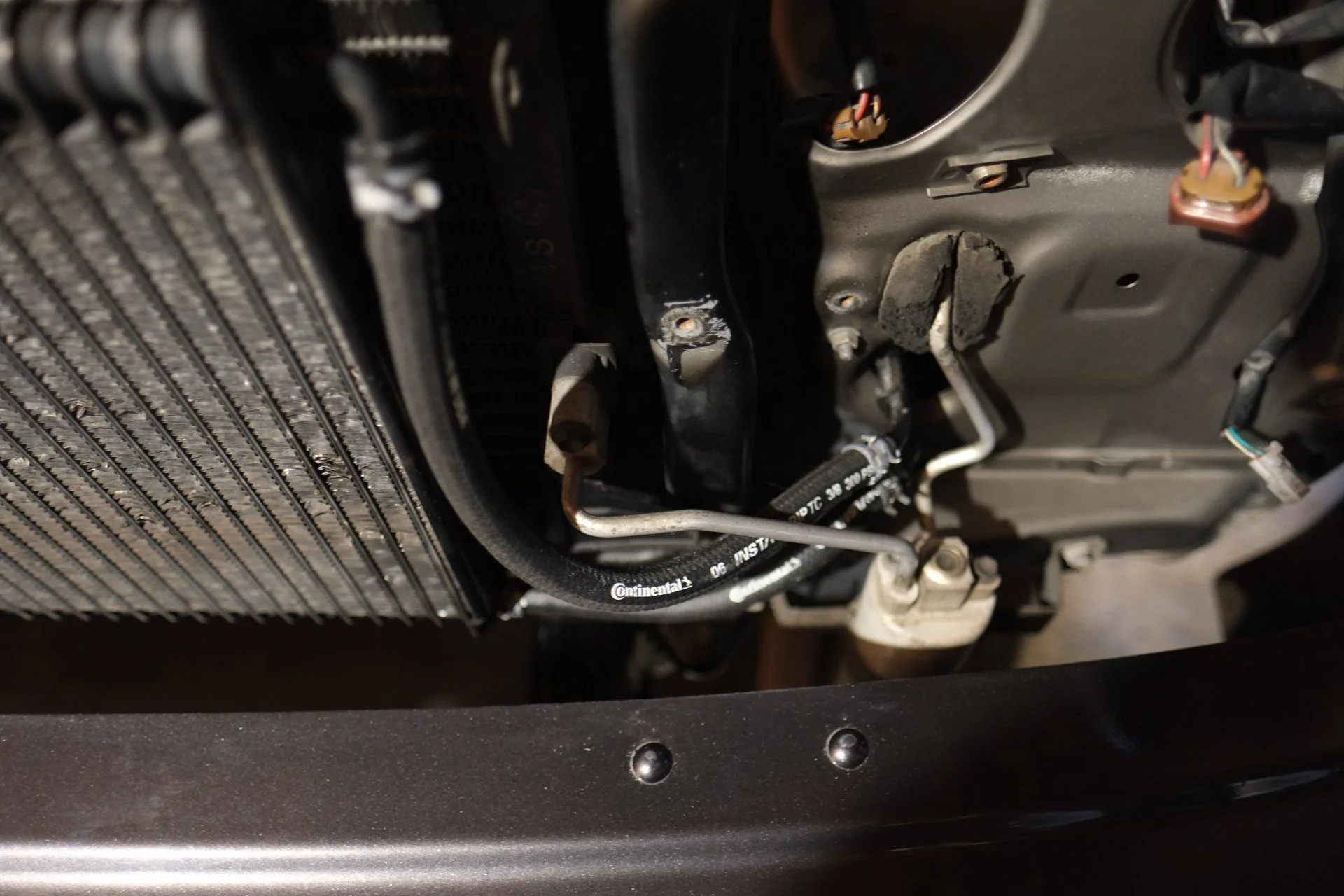 DSCF2784.webp