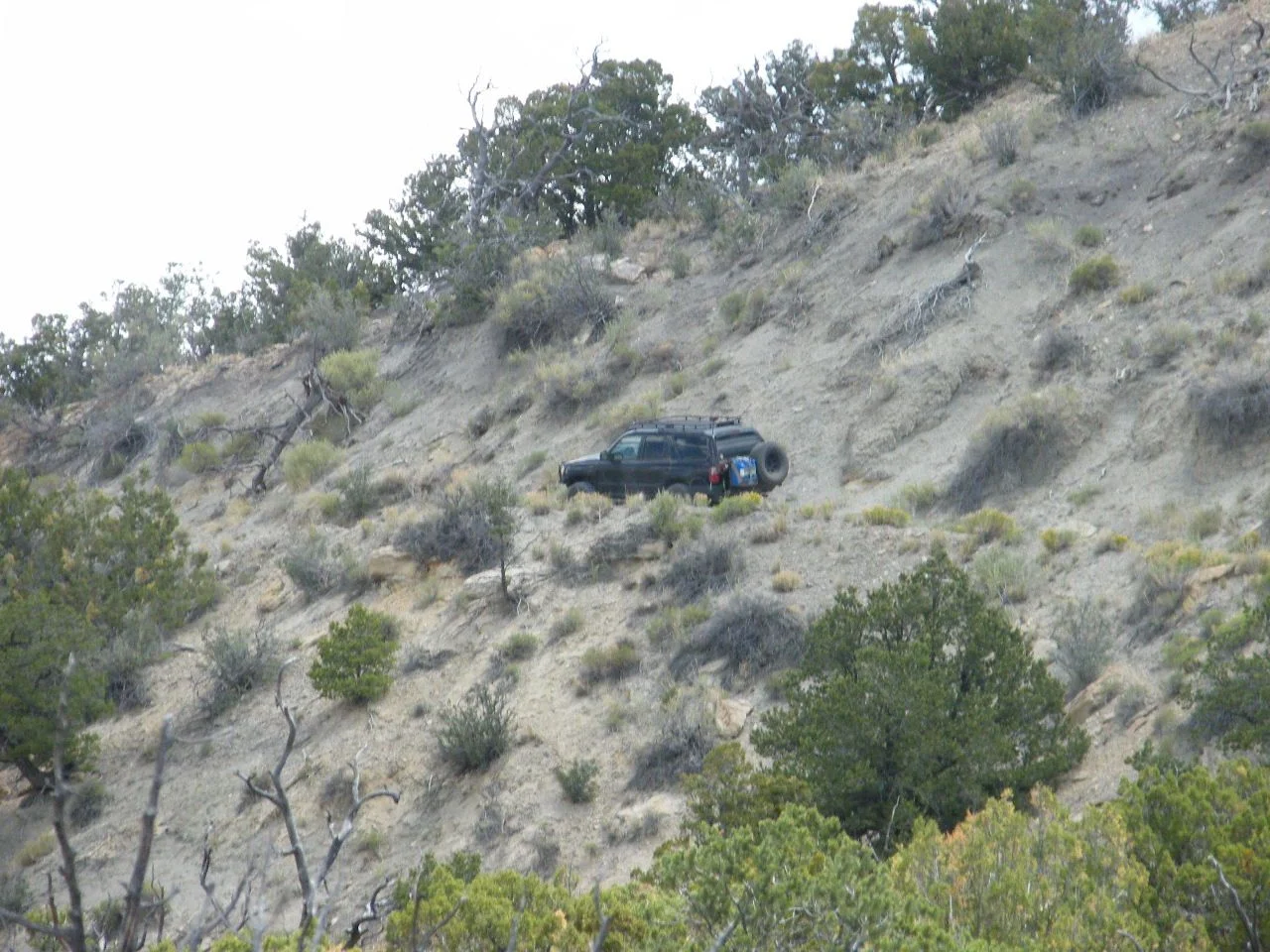 DSCF2788.webp