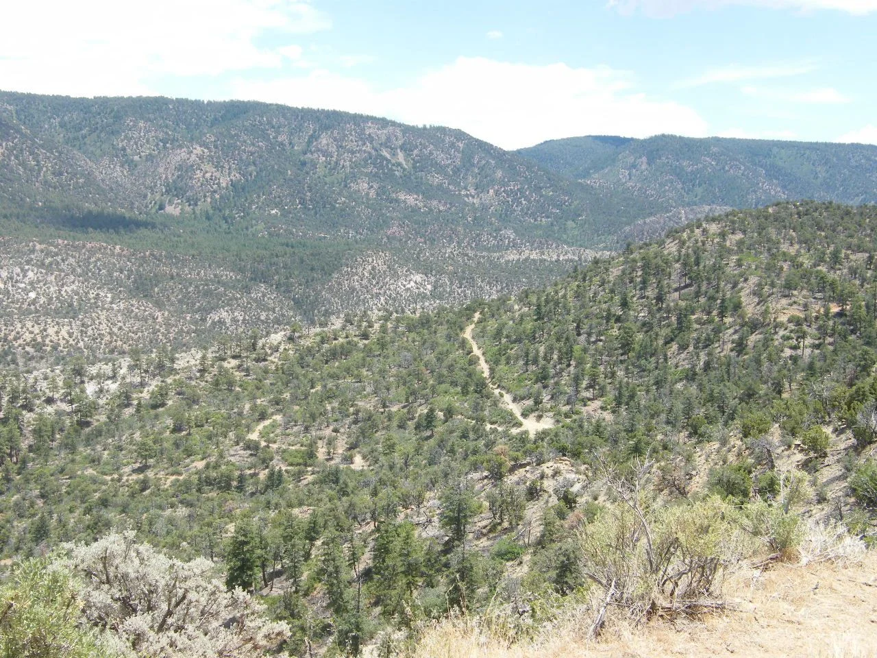 DSCF2789.webp