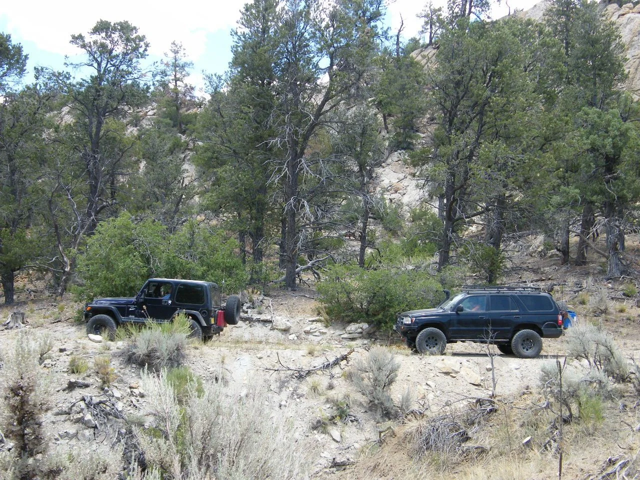 DSCF2793.webp
