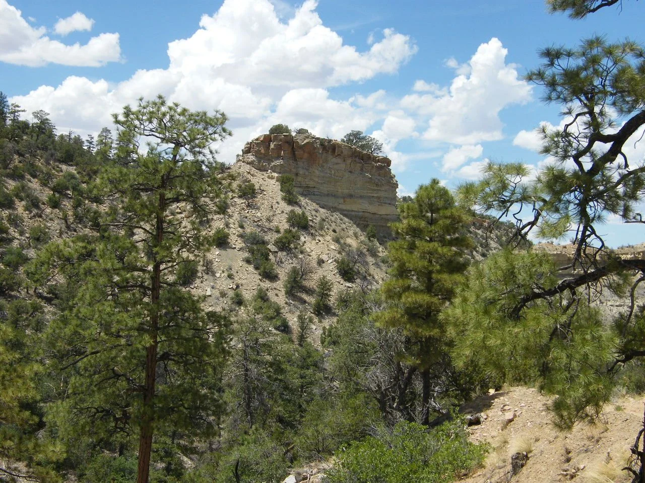 DSCF2797.webp