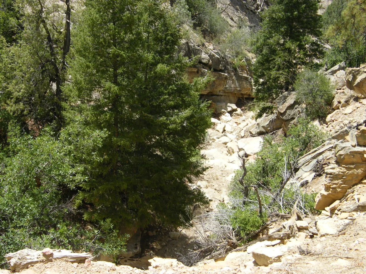 DSCF2798.webp