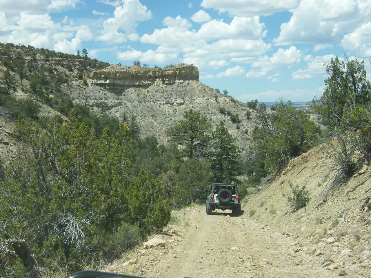 DSCF2799.webp