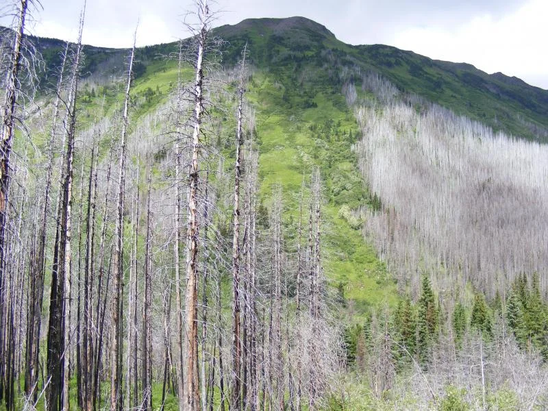 DSCF3487.webp