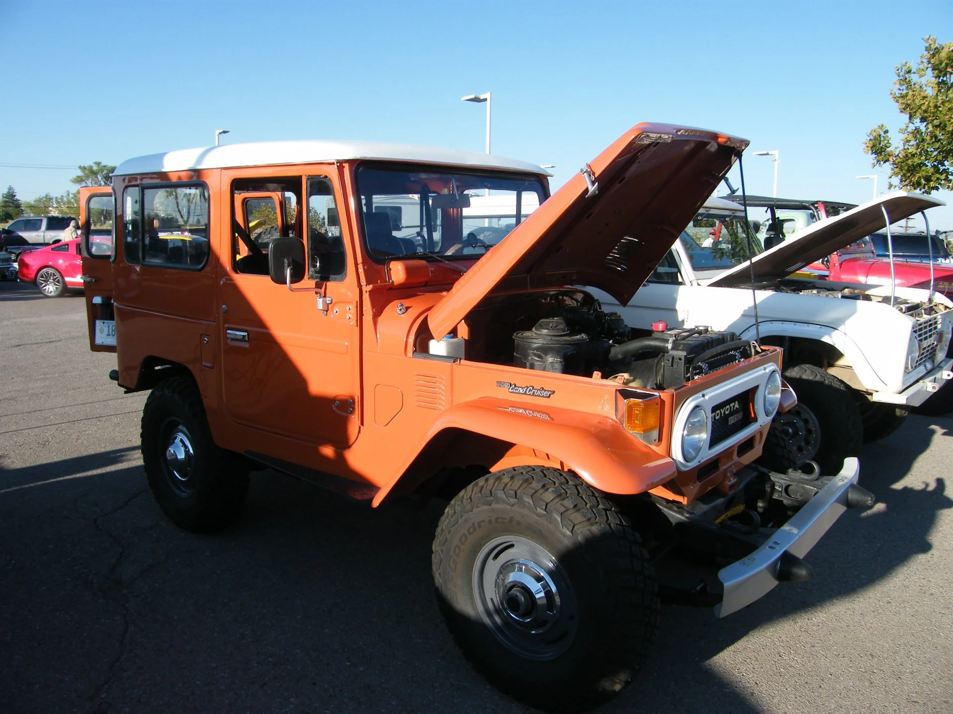DSCF3706.webp