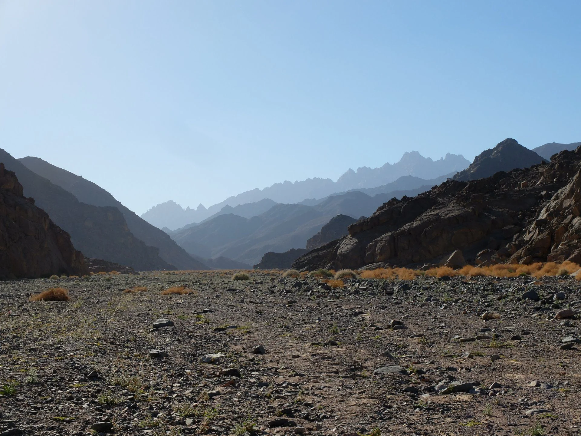 DSCF3747.webp
