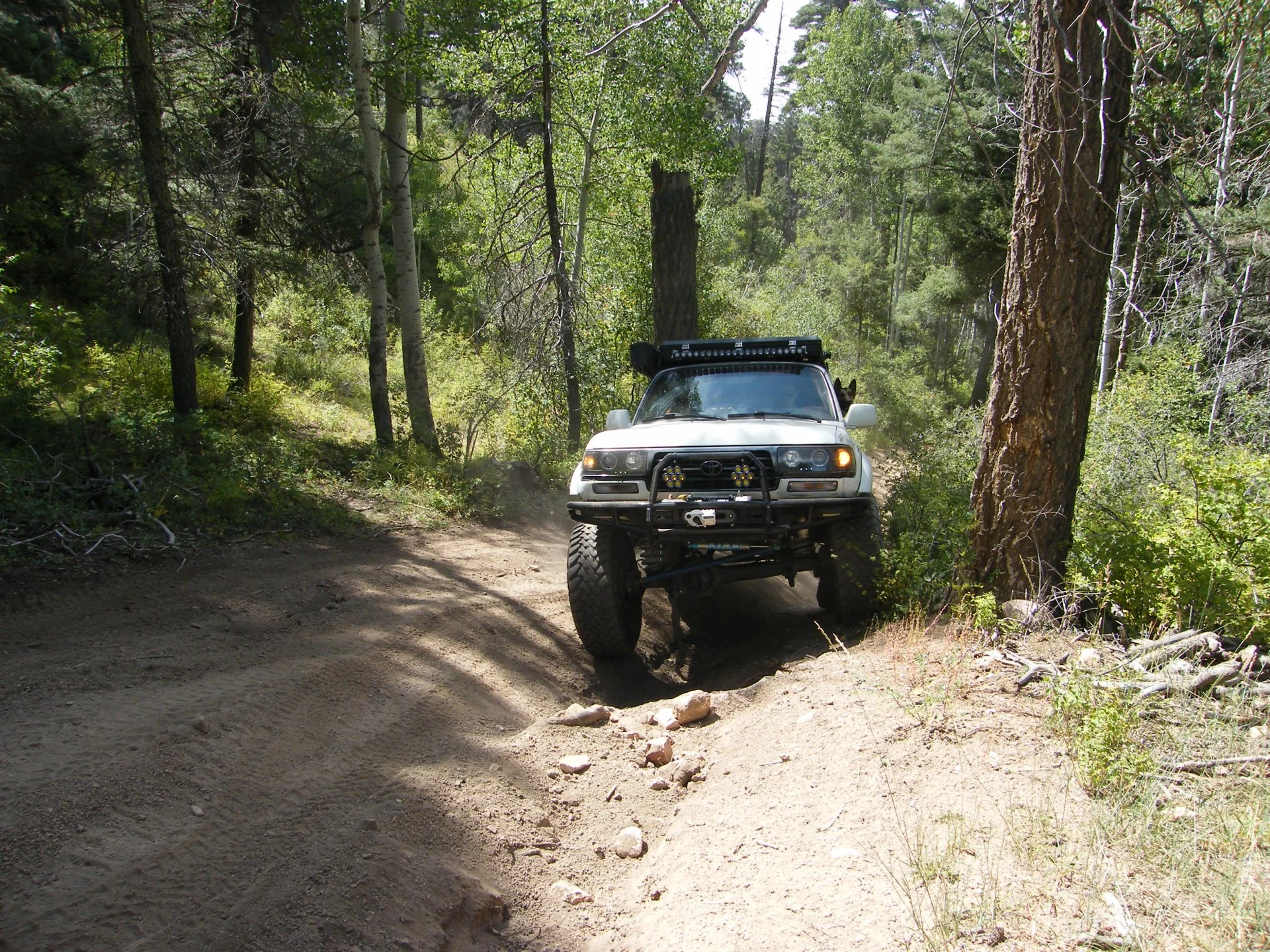 DSCF3765.webp