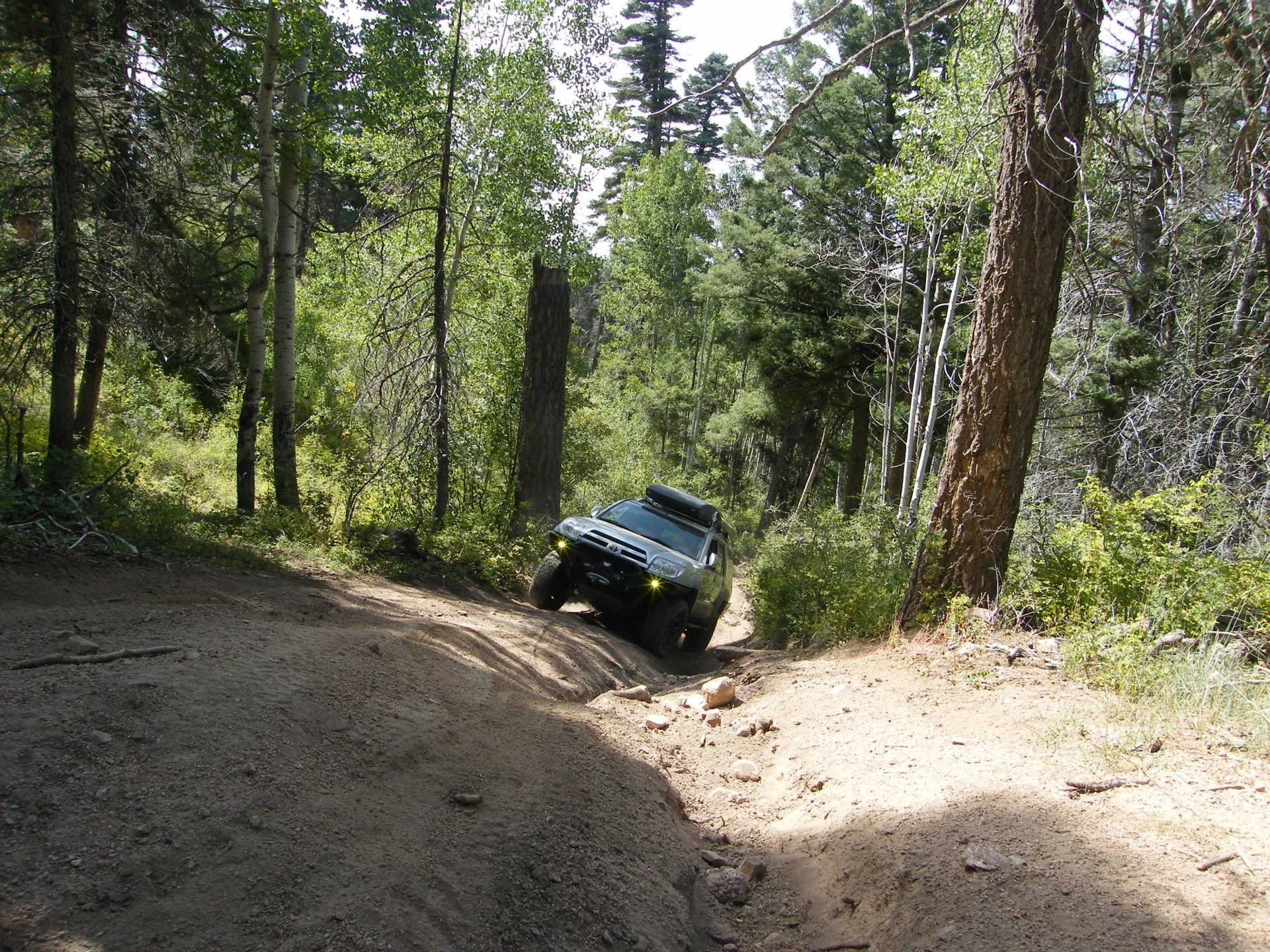 DSCF3768.webp