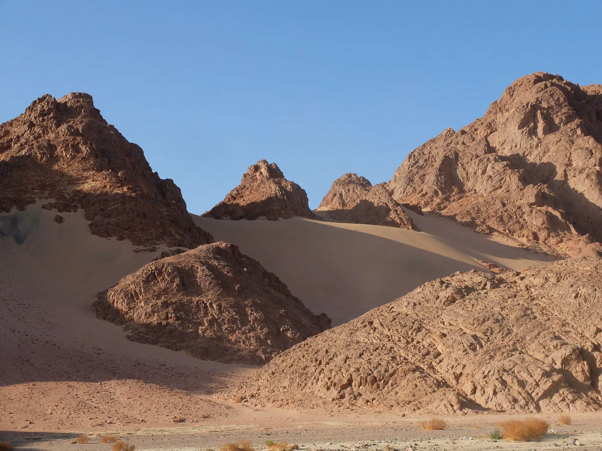 DSCF3778.webp