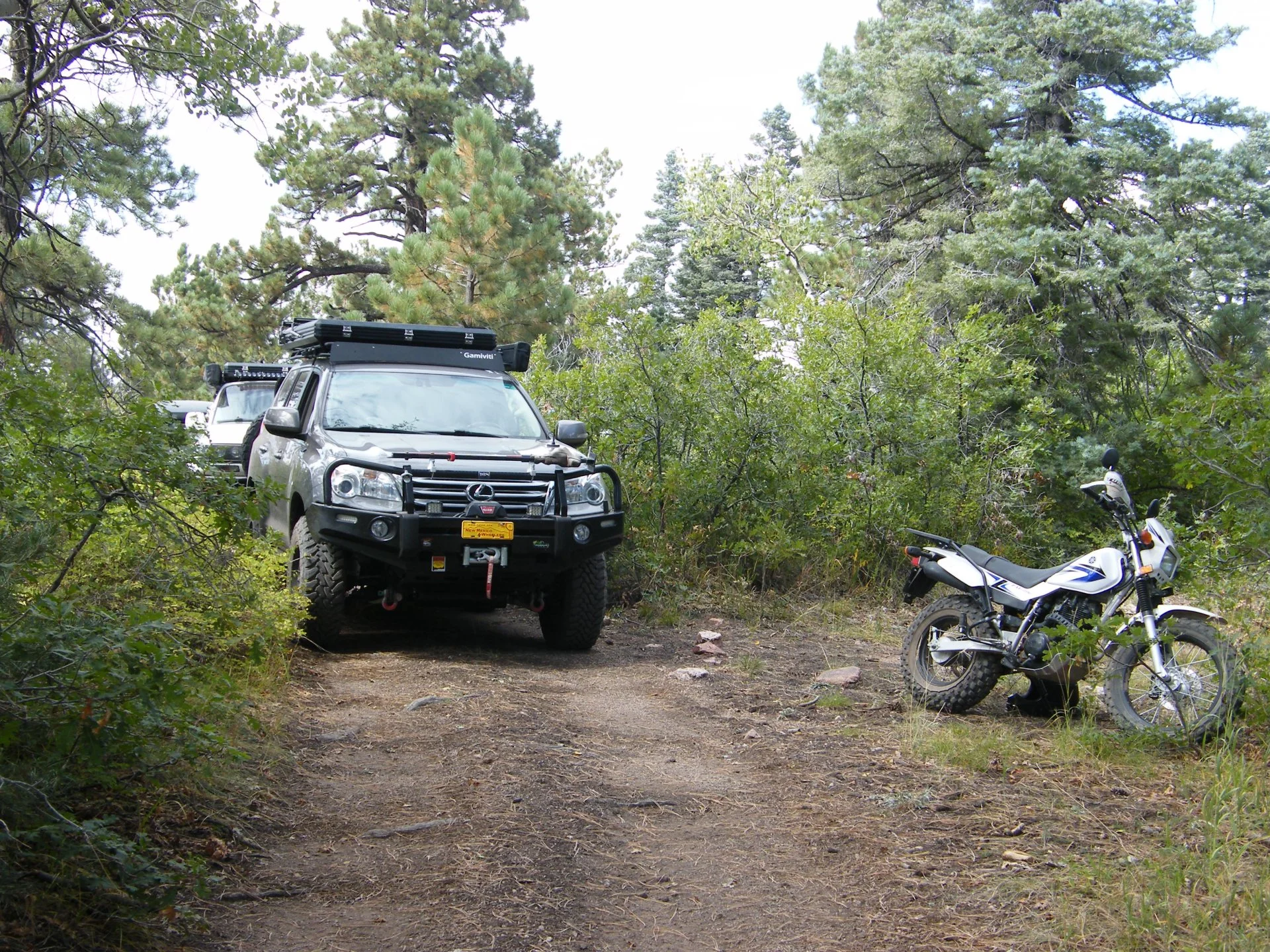 DSCF3796.webp