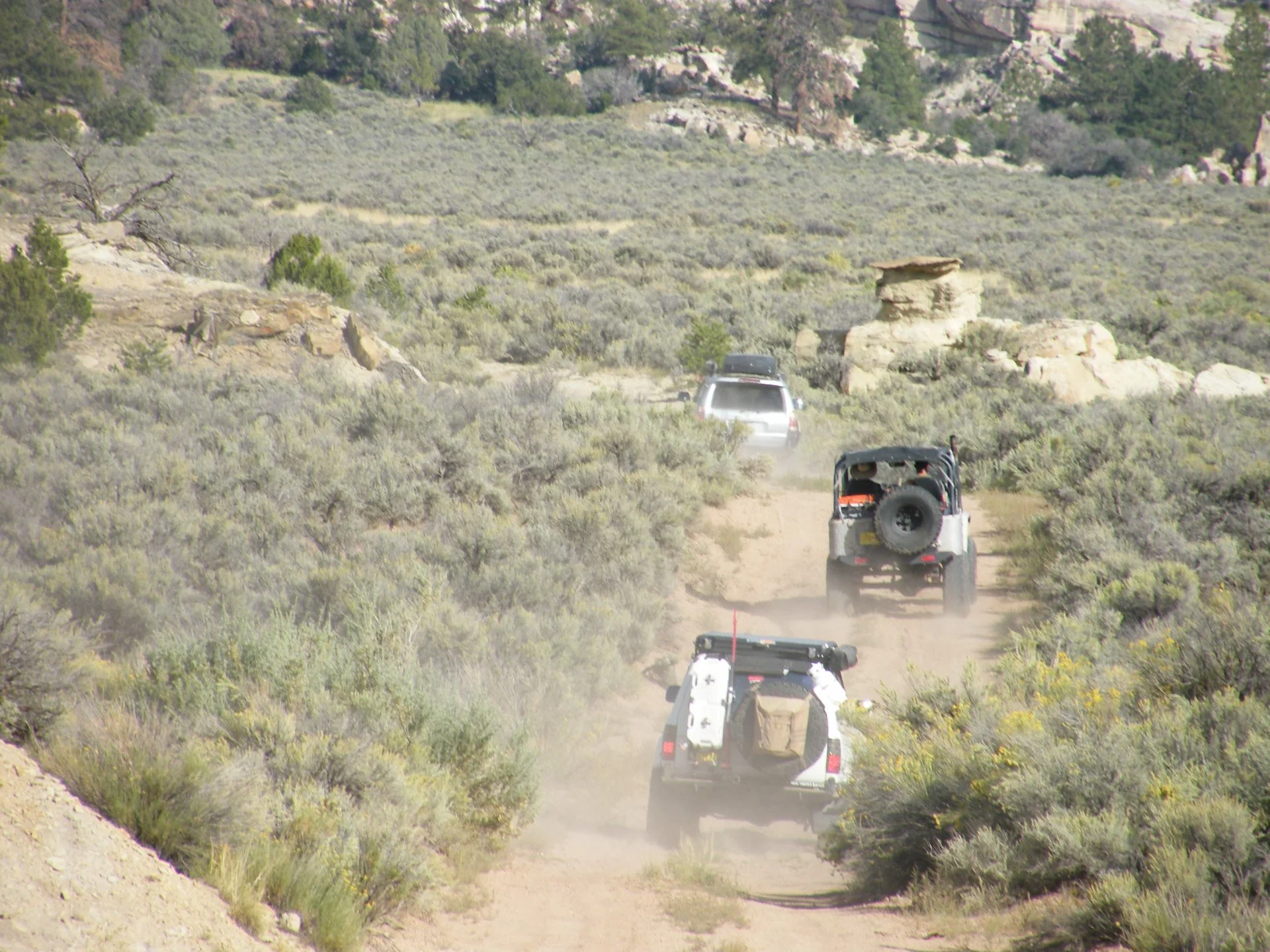 DSCF3816.webp