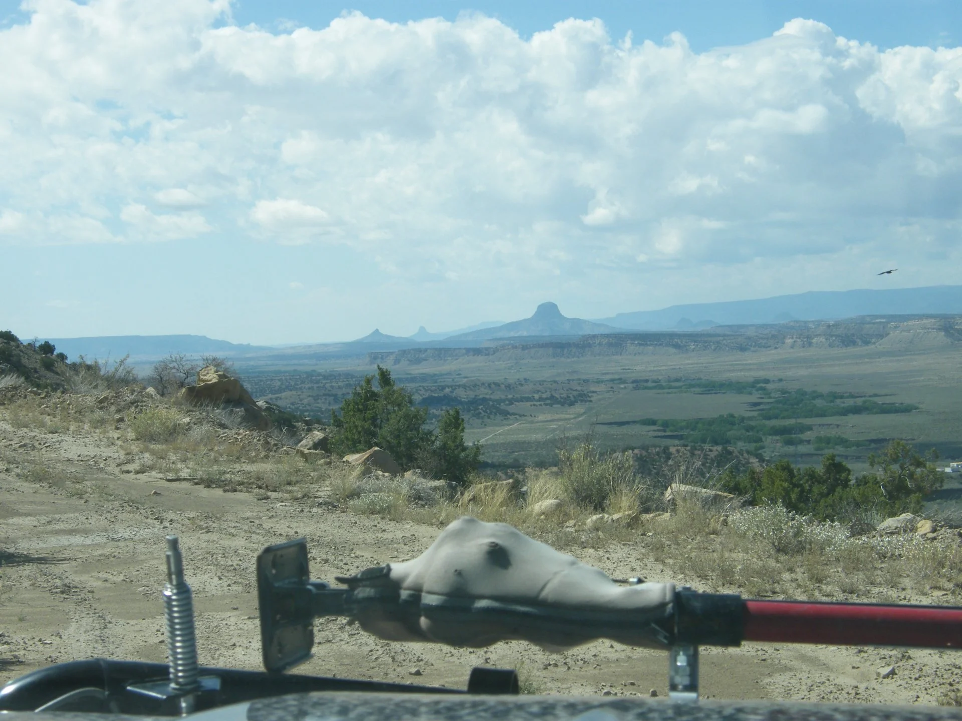 DSCF3821.webp