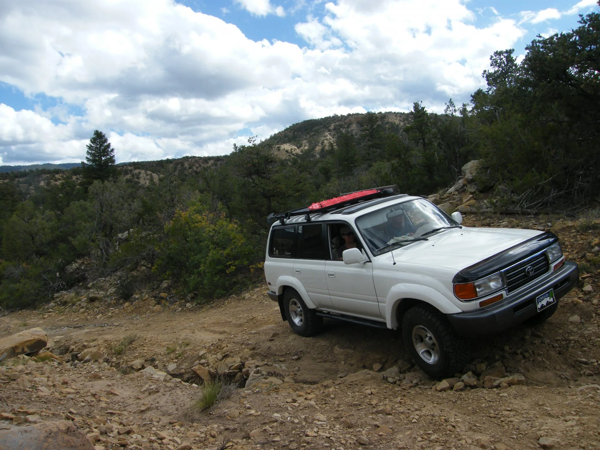 DSCF3826.webp