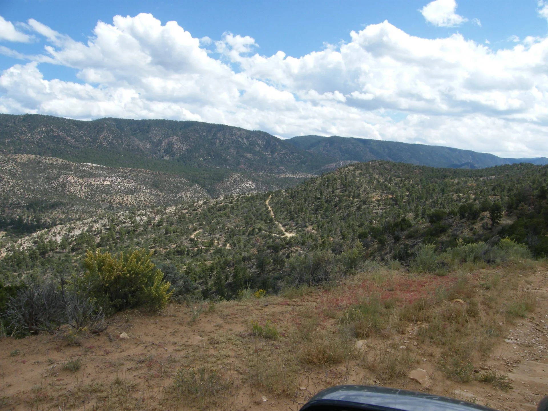 DSCF3832.webp
