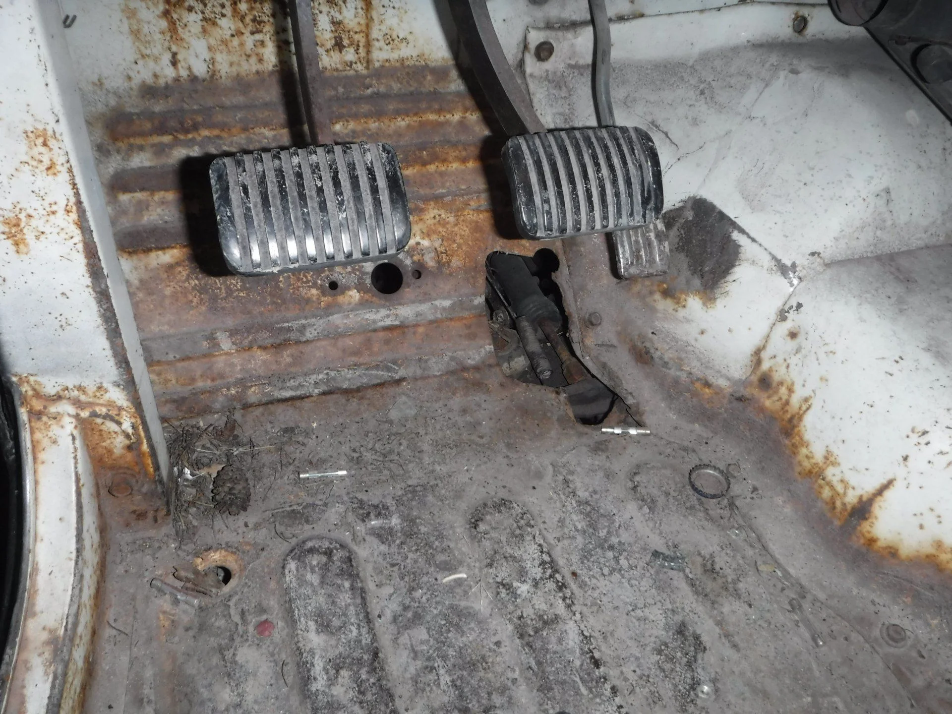 DSCF3834.webp