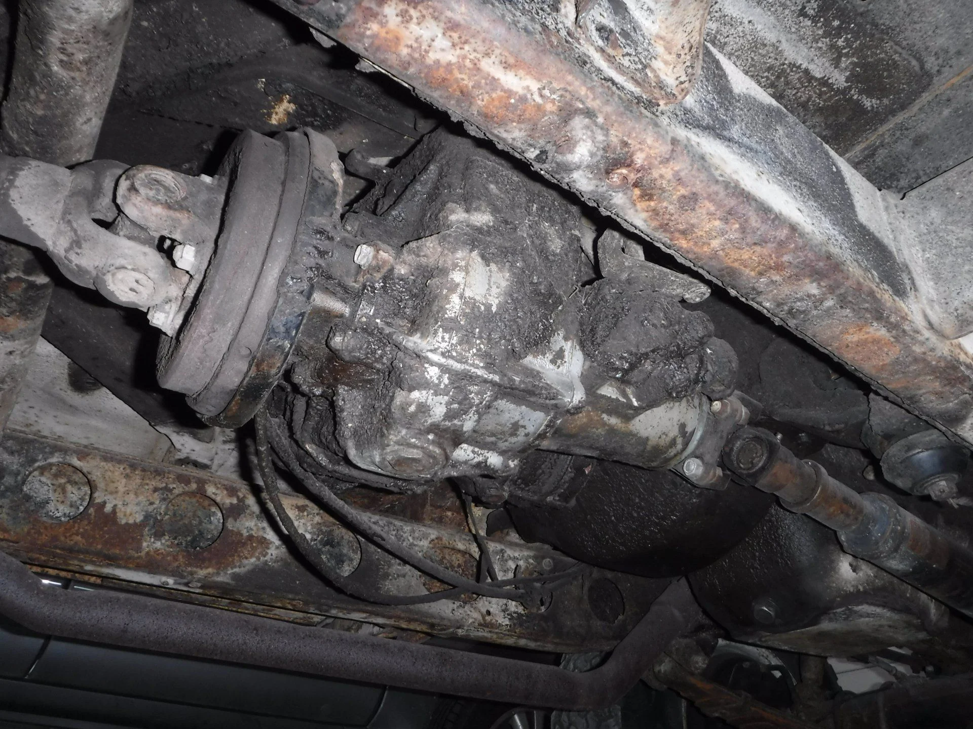 DSCF3842.webp