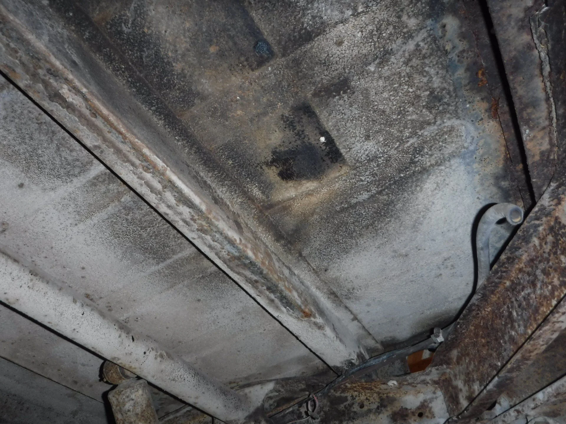 DSCF3845.webp