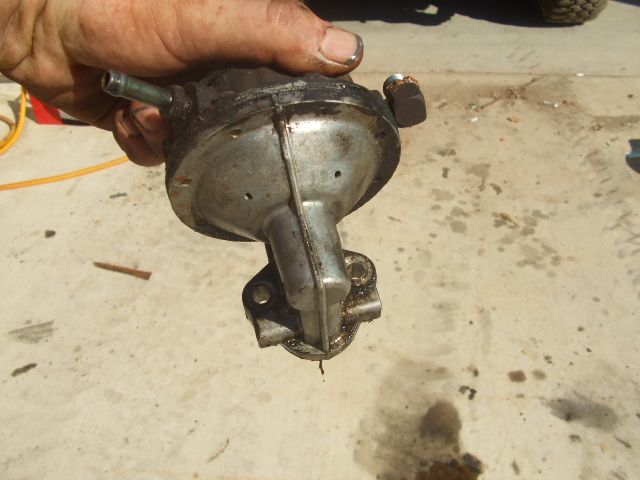 DSCF3918.jpg