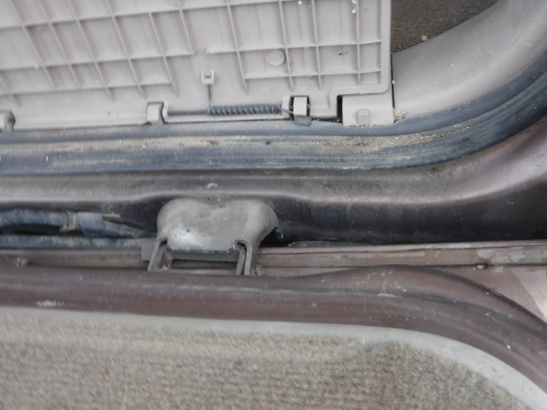 DSCF3931.JPG