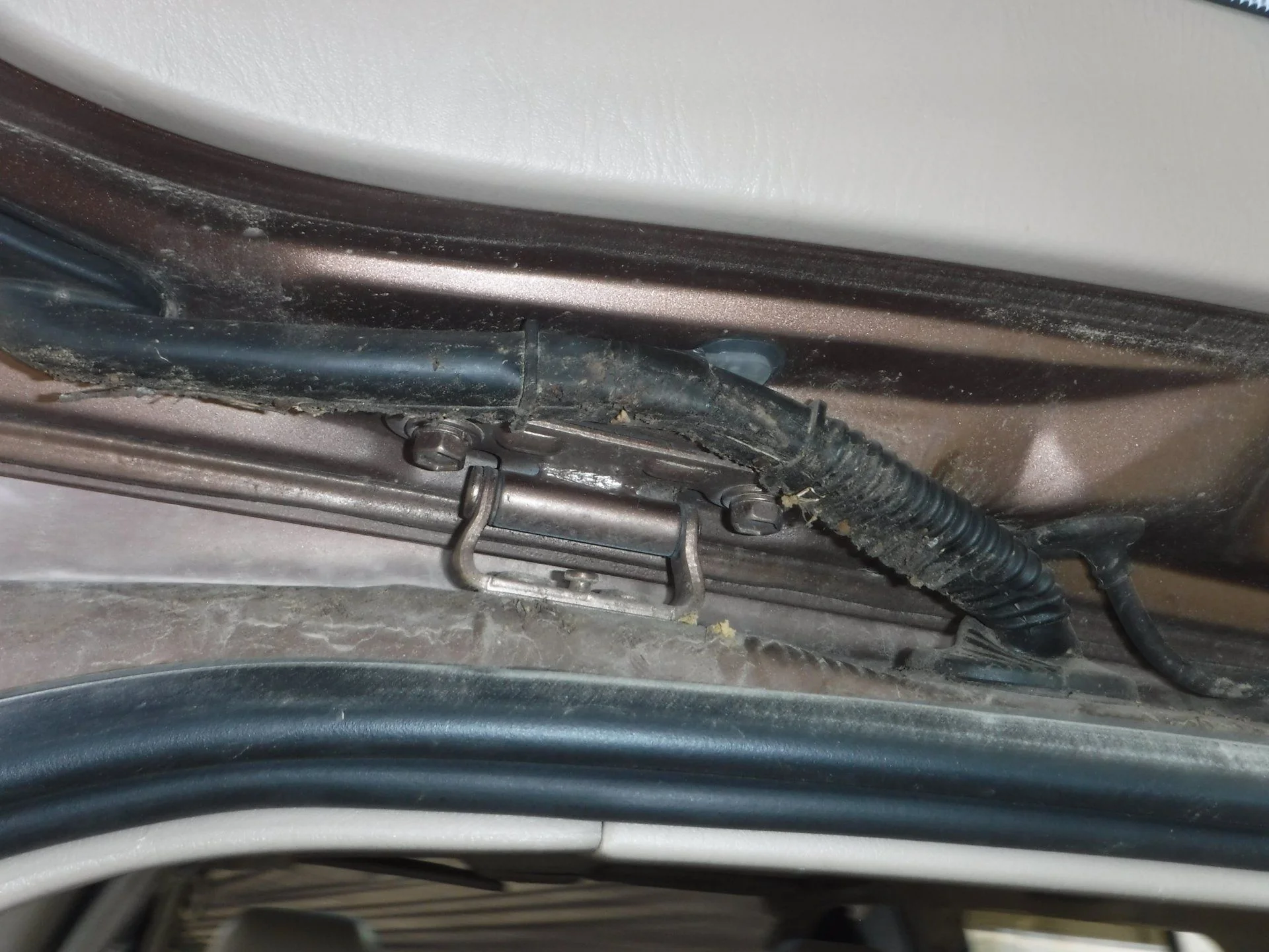 DSCF3933.webp