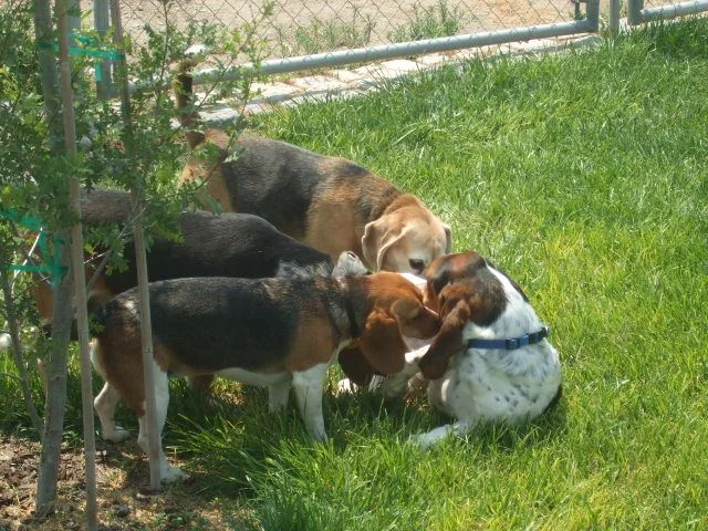 DSCF3960.webp
