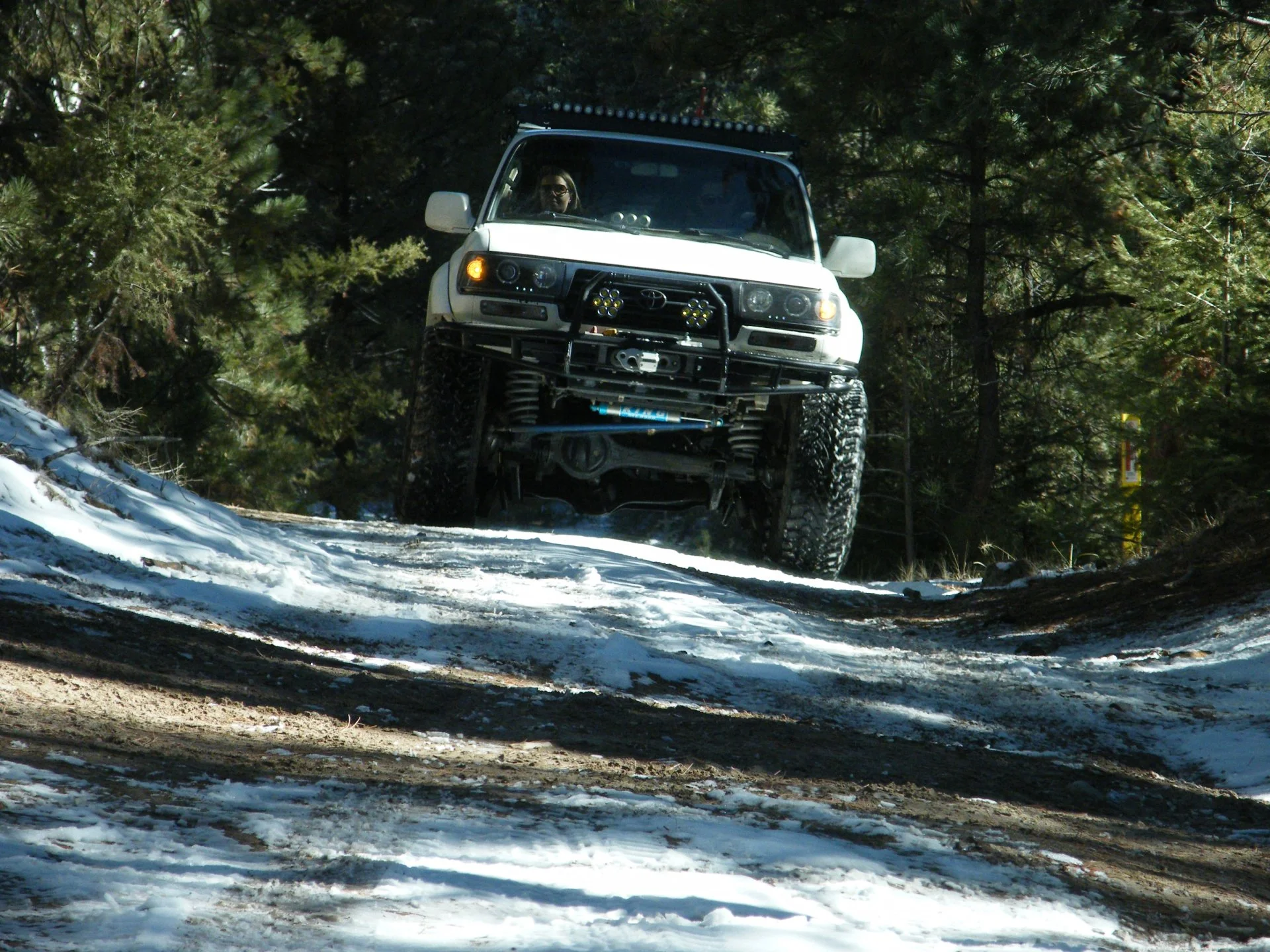 DSCF3974.webp