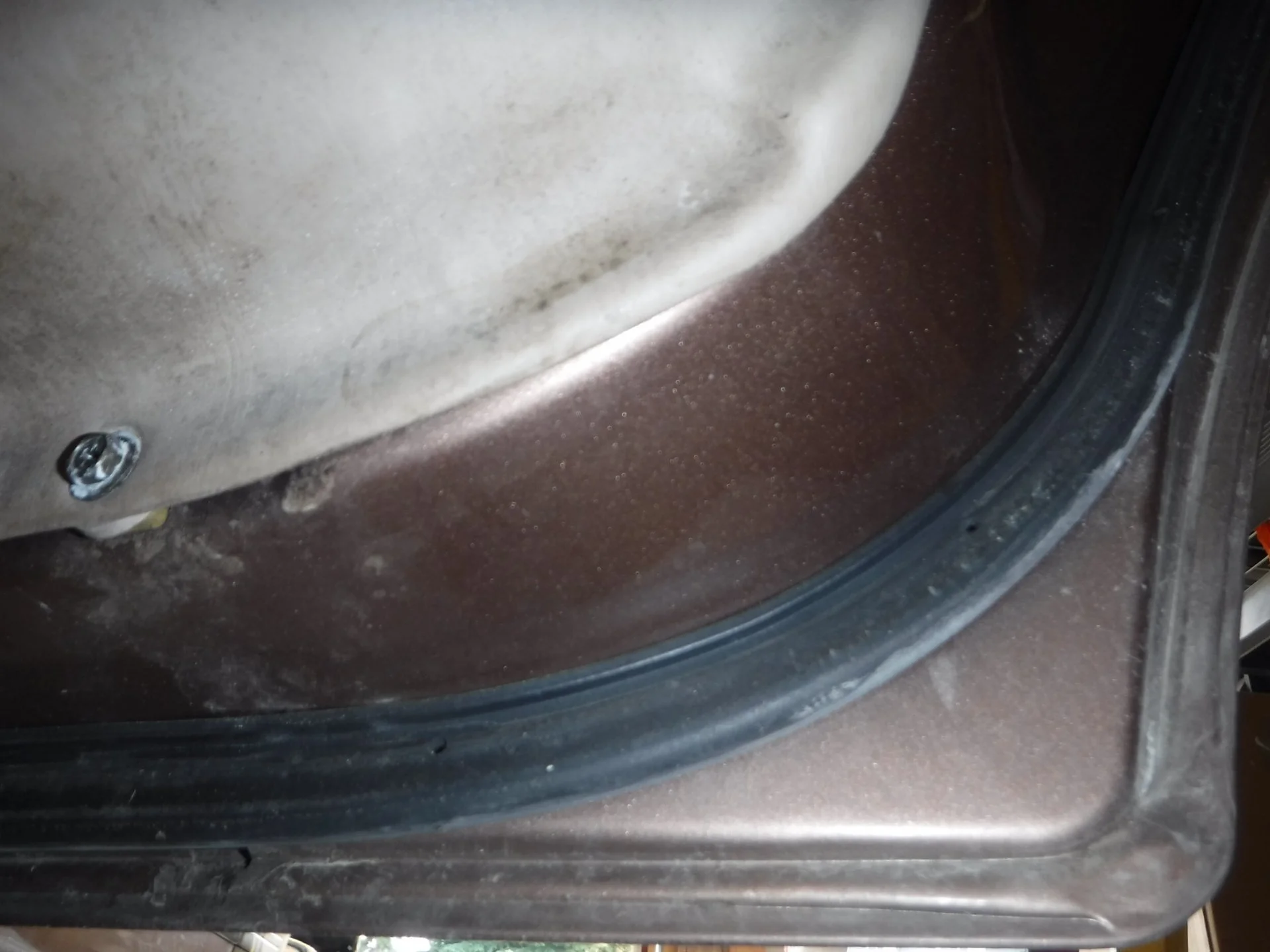 DSCF4211.webp