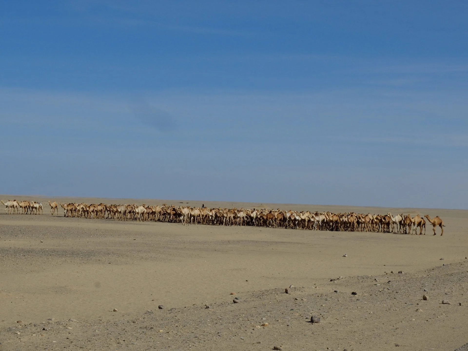 DSCF4220.webp