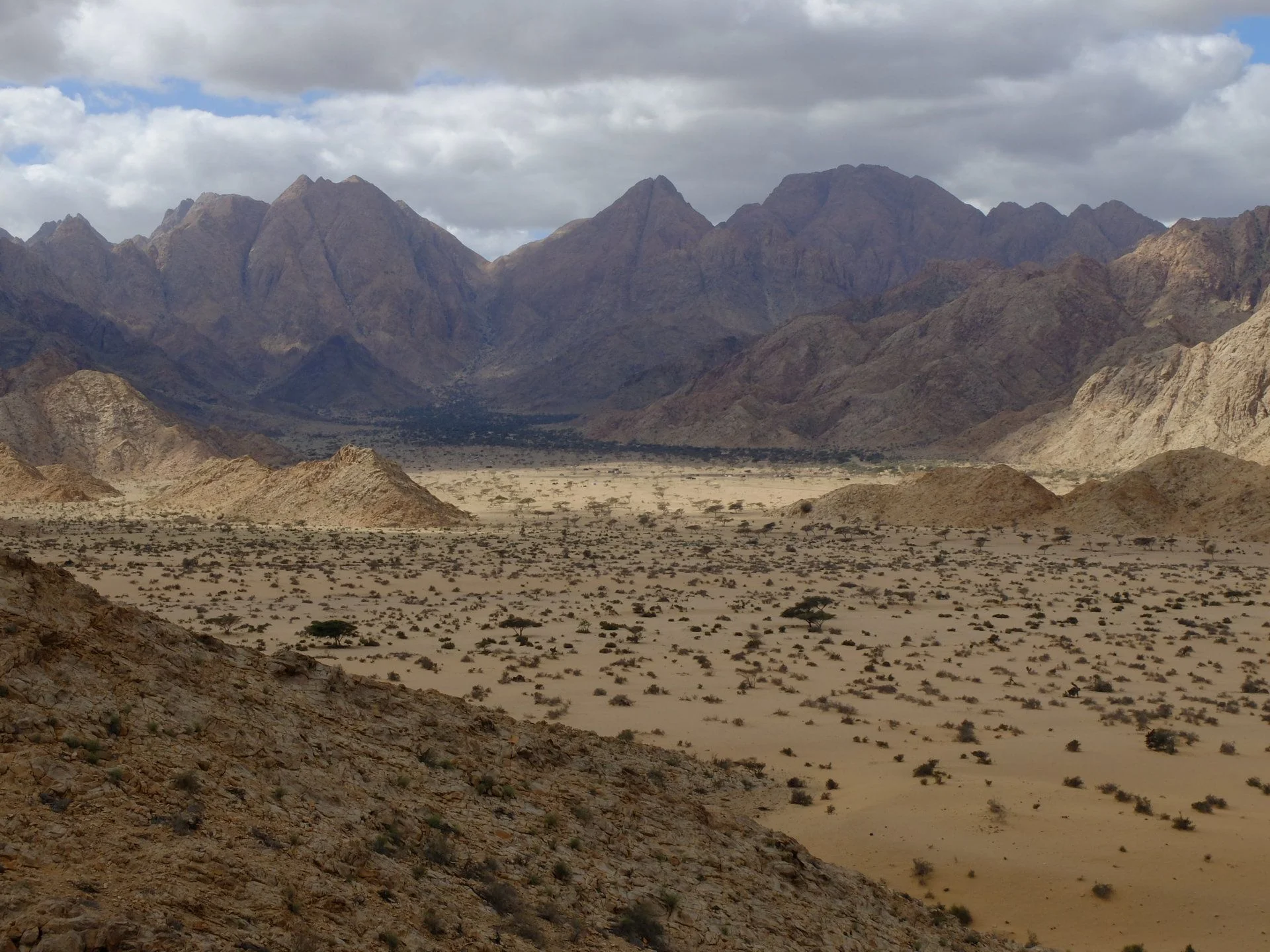 DSCF4254.webp