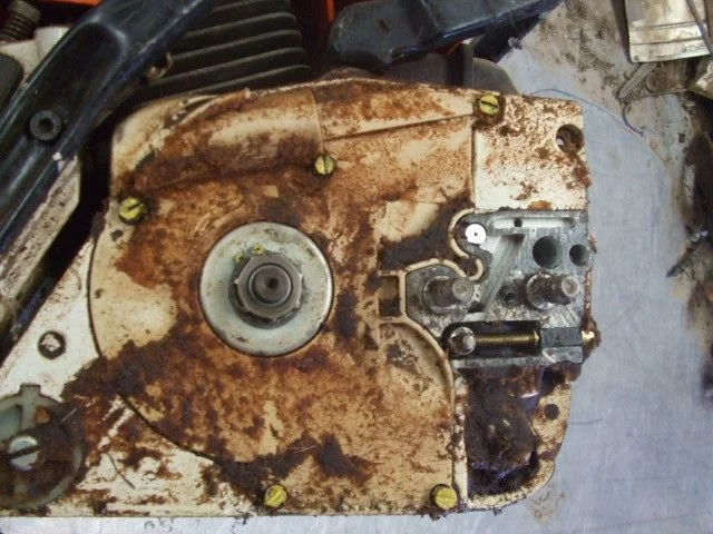 DSCF4337.webp