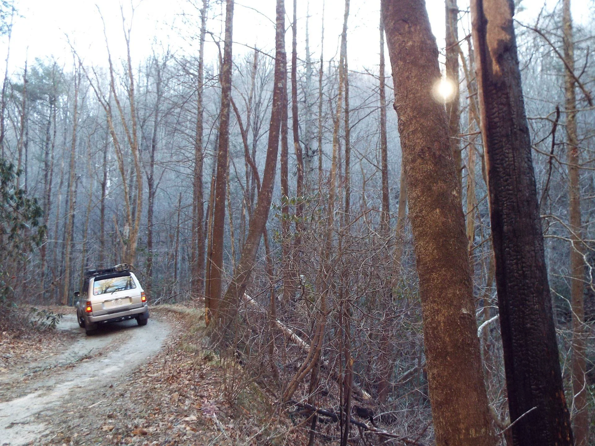 DSCF4421.webp