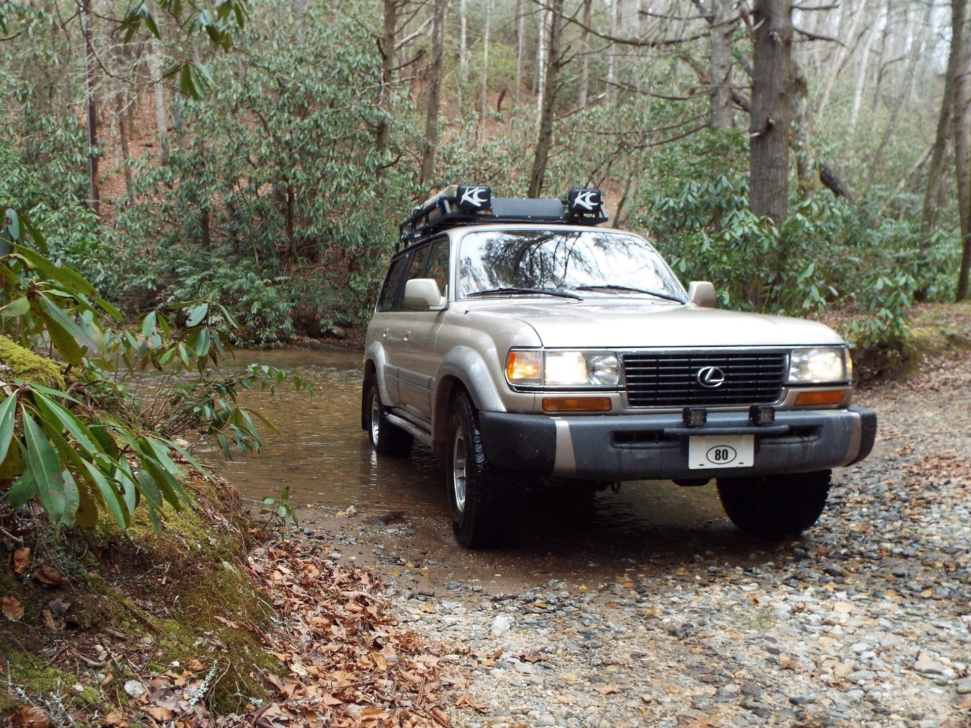 DSCF4439.webp