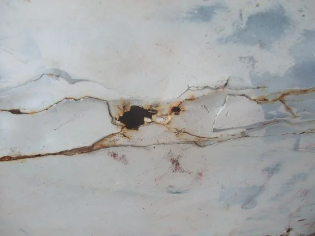 DSCF4624.webp