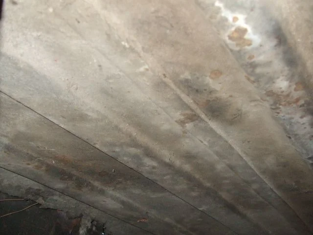 DSCF4626.webp