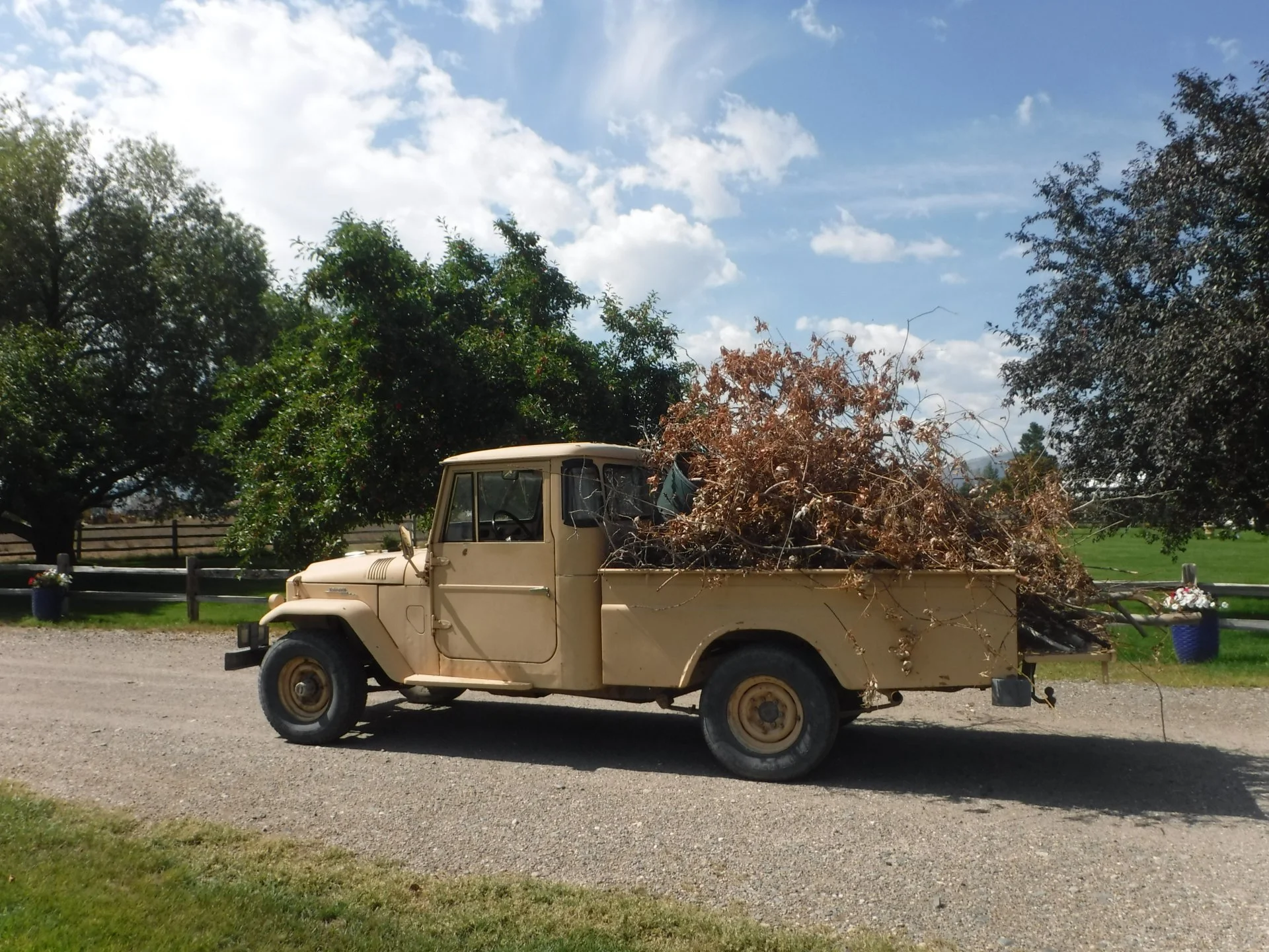 DSCF4644.webp