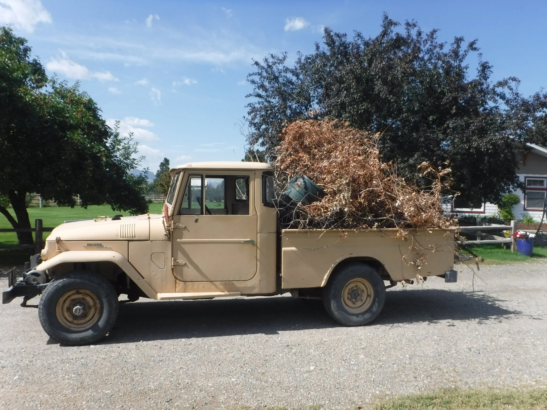 DSCF4645.webp