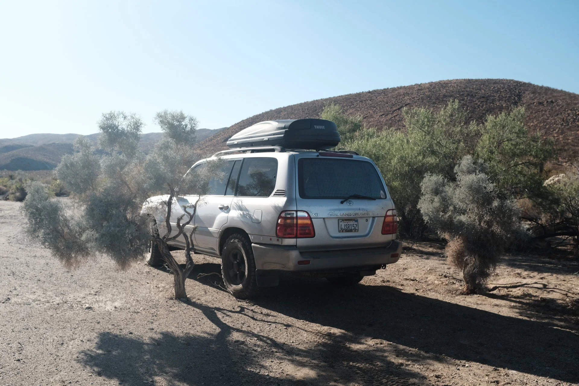DSCF4871.webp