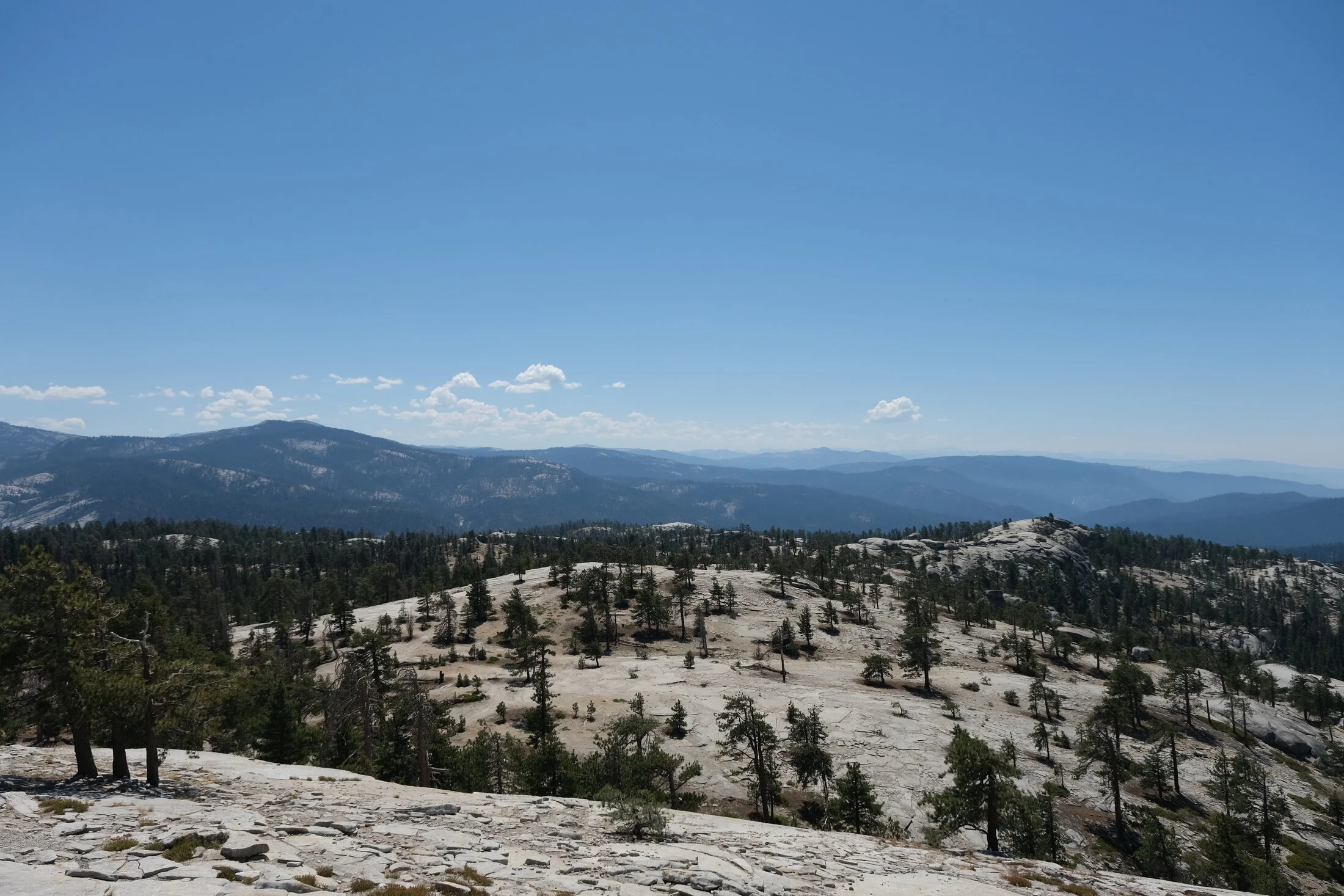 DSCF4964.webp