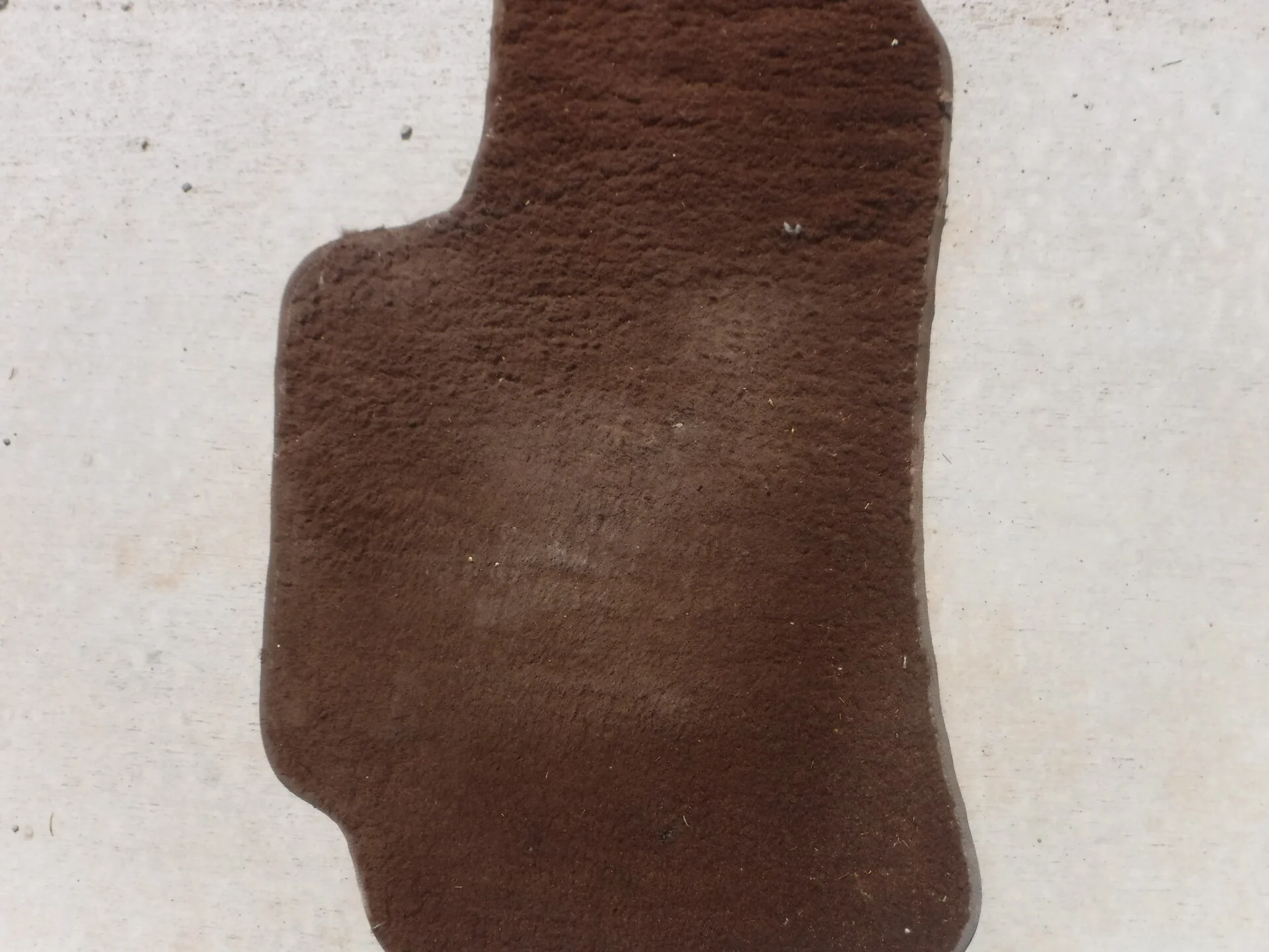 DSCF5080.JPG