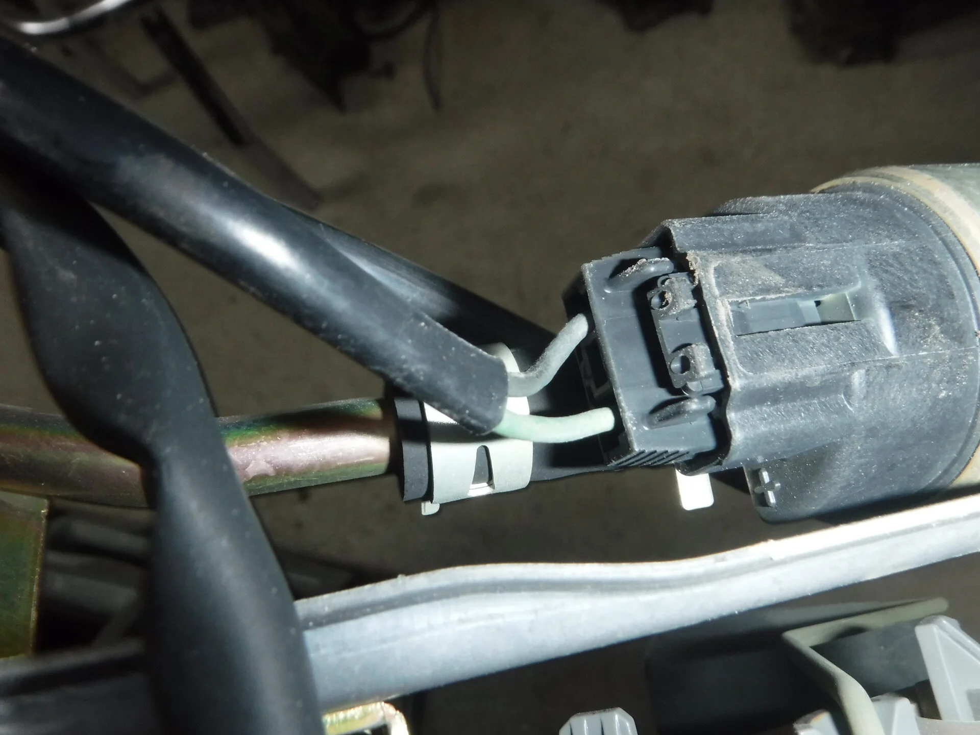DSCF5193.webp