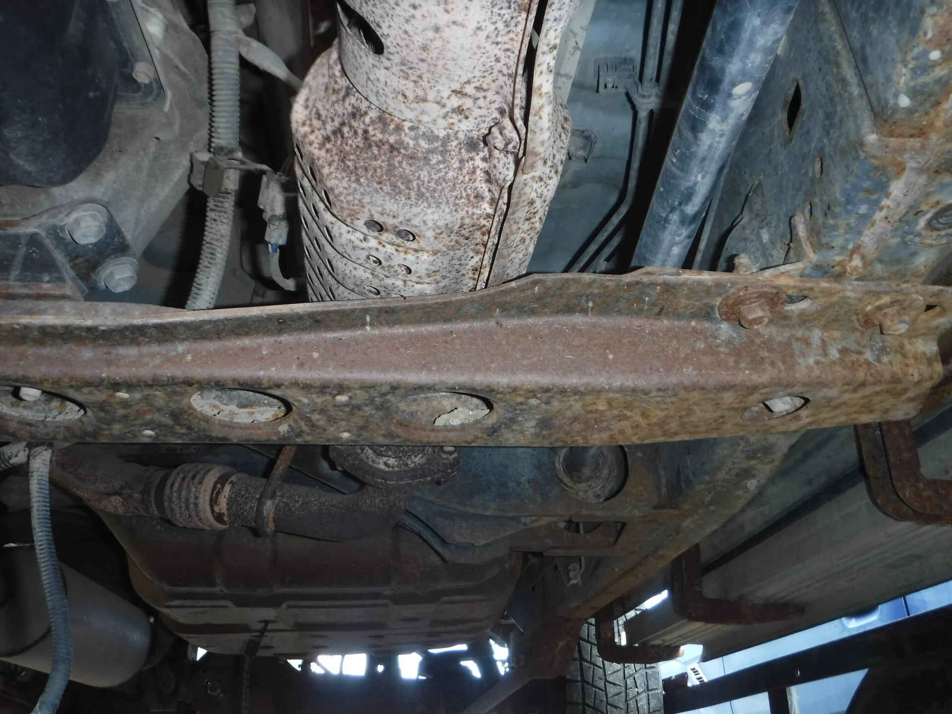 DSCF5198.webp