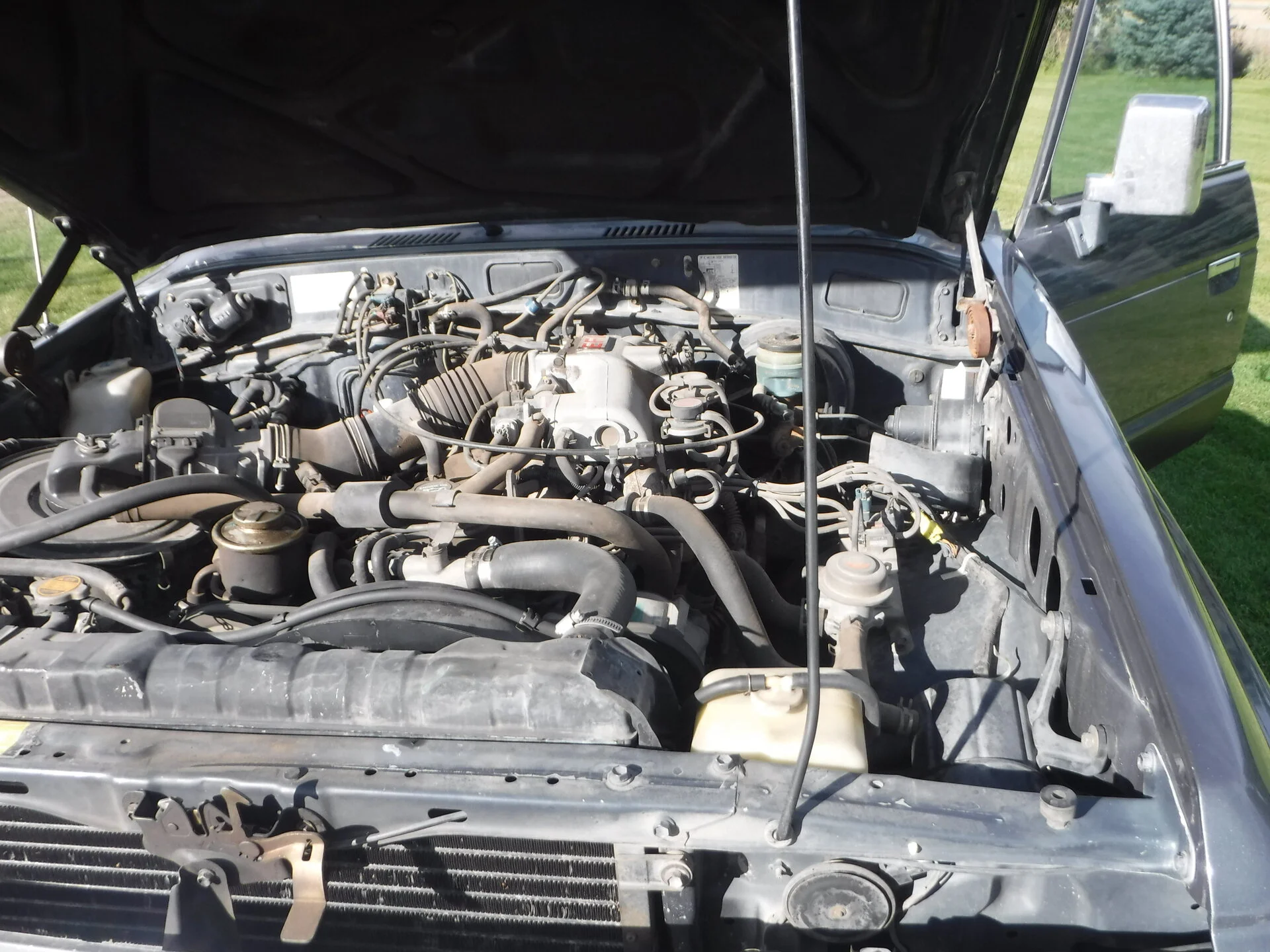 DSCF5325.webp
