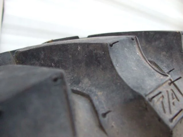 DSCF5338.webp